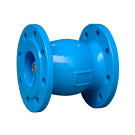 Nozzle check valve