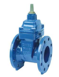 Resilient seat gate valve