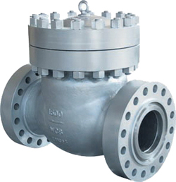 Swing check valve