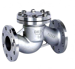 Swing check valve